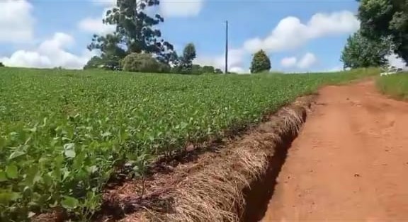 Imagem Fazenda em Tibagi